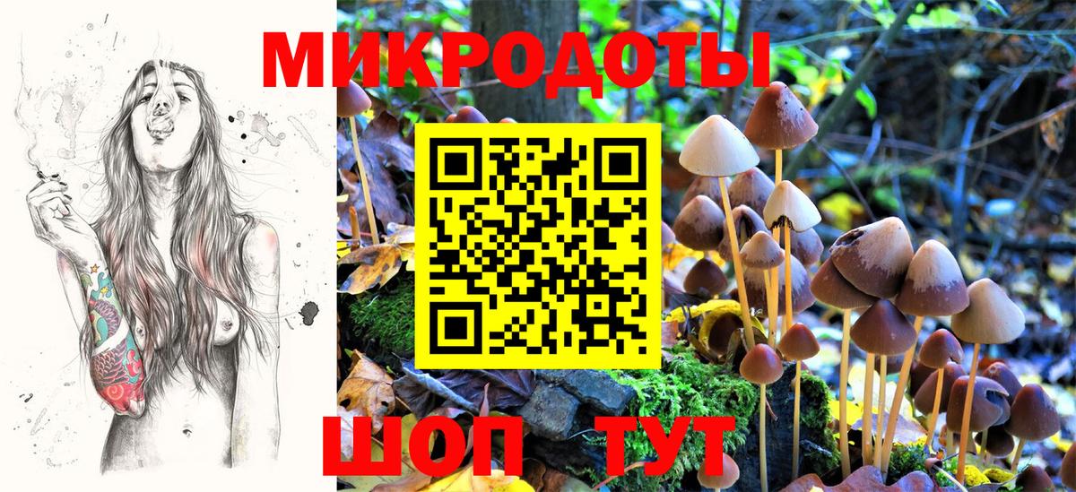 Галлюциногенные грибы ЛСД  Вход с VPN  Галлюциногенные грибы Psilocybe  Петрозаводск 