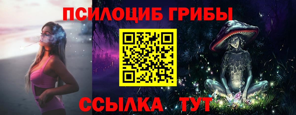 Галлюциногенные грибы Cubensis Петрозаводск